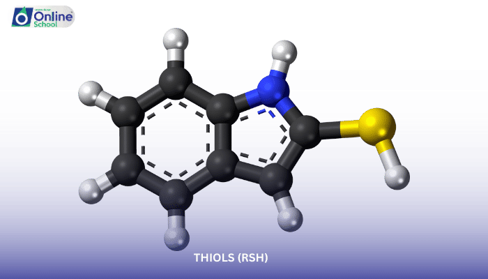 Lesson 05: Thiols (RSH)